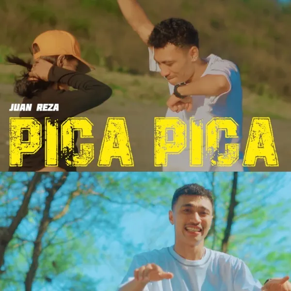 Cover PICA PICA